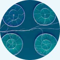 Oxygen Feed Gas for Aquaculture